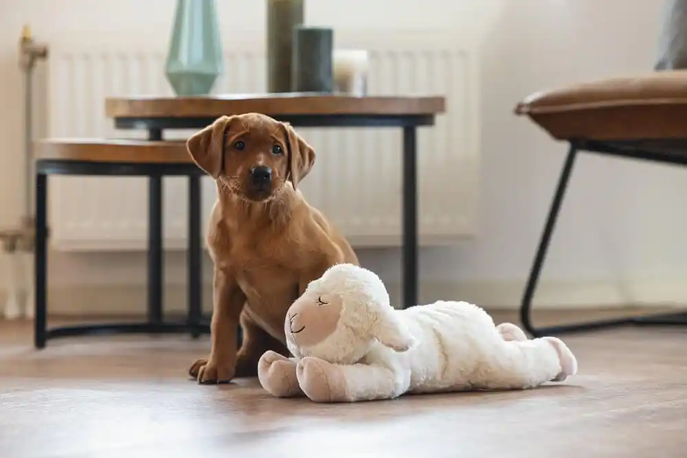 Jucărie de pluș Beeztees HEARTBEAT BOWL 42cm