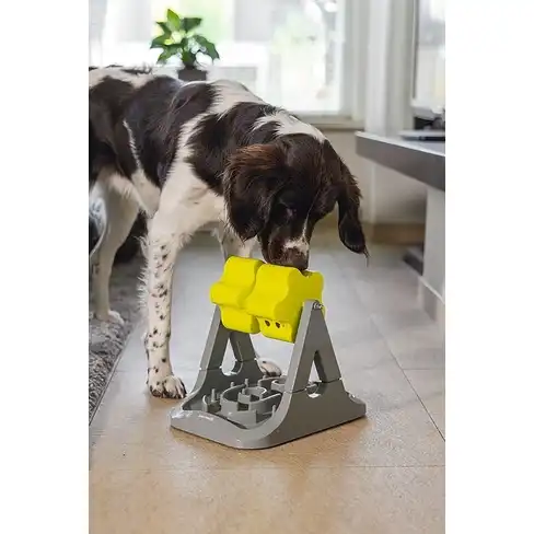 BZ jucărie interactivă Rodar