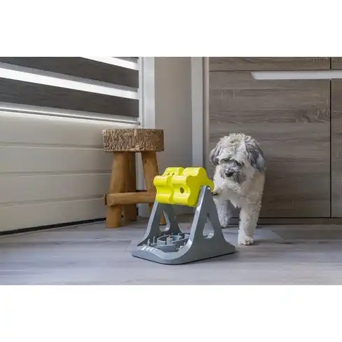 BZ jucărie interactivă Rodar