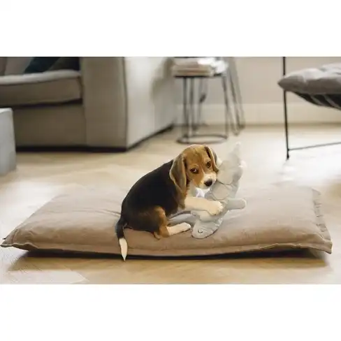 BZ jucarie din plus pentru caine Crocodile Jake