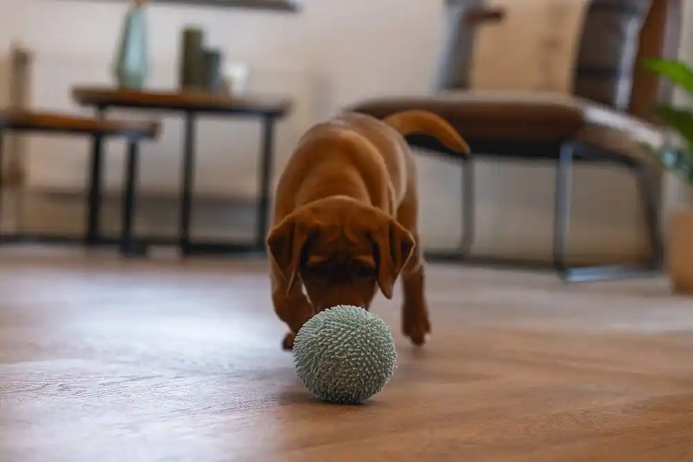 Beeztees плюшевая игрушка PUPPY ECO BALL LILY Blue 10cm