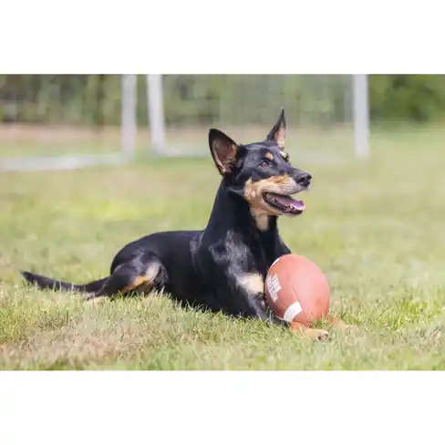 BEEZTEES minge din cauciuc RUGBYBALL with Rope 21cm