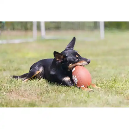 BEEZTEES minge din cauciuc RUGBYBALL with Rope 21cm