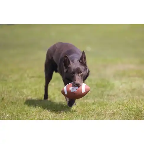 BEEZTEES minge din cauciuc RUGBYBALL with Rope 21cm