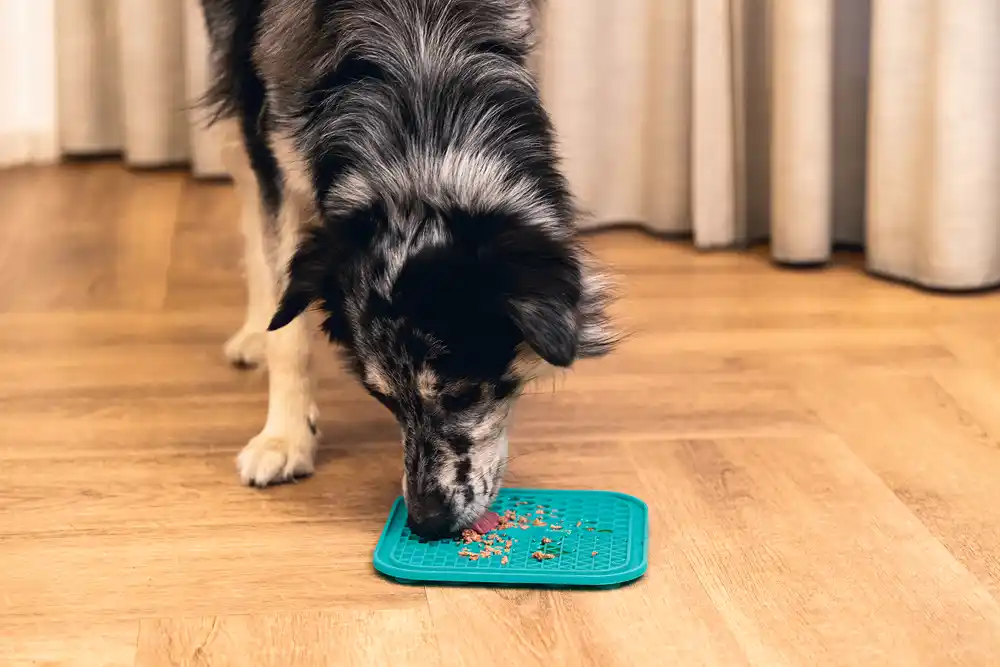 Covoraș alimentar din silicon BZ Connoisseur Verde 20cm