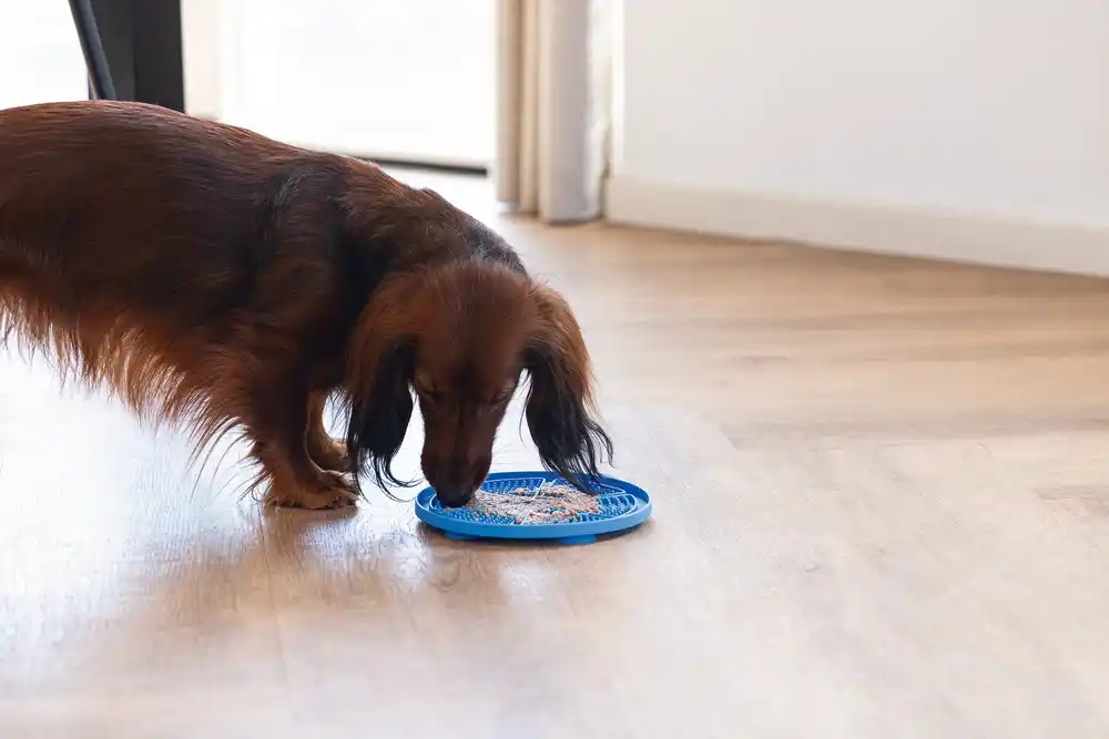 BZ силик. коврик для еды PIZZA Blue 18cm