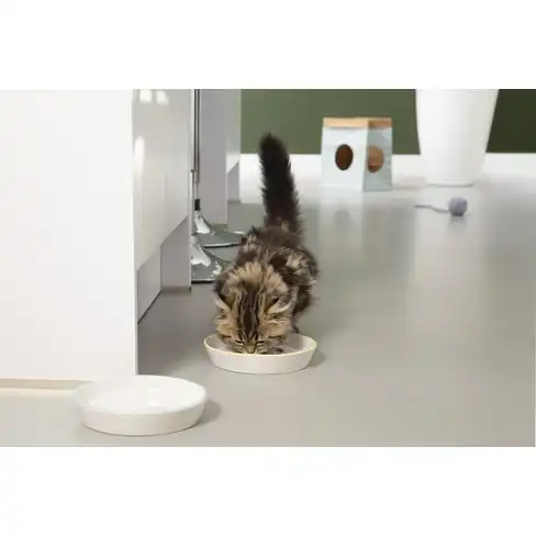 BZ castron din ceramica Zina