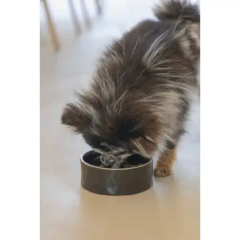 BZ castron din ceramica Jace Black