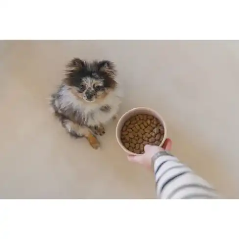 BZ миска керамическая Jace Pink