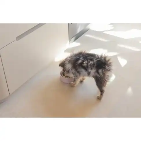 BZ миска керамическая Jace Pink