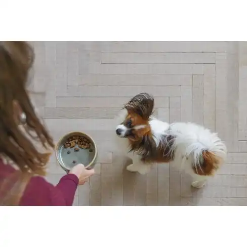 BZ миска керамическая Jace Green