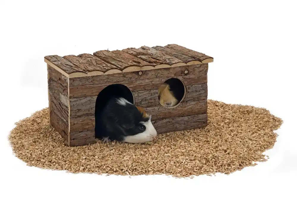 BEEZTEES Căsuță regală pentru rozătoare, 40x23x20cm