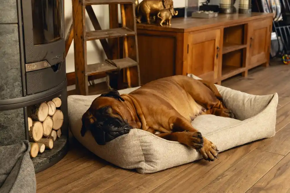 BEEZTEES лежак ортопед. Memory Foam ZIA Beige 100x80cm