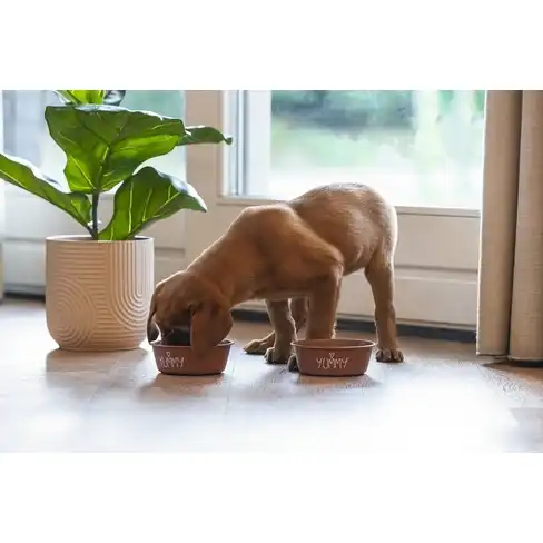 Металическая миска PUPPY SHOES