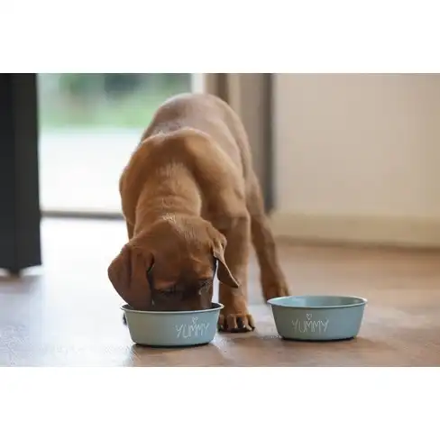 Металическая миска PUPPY SHOES