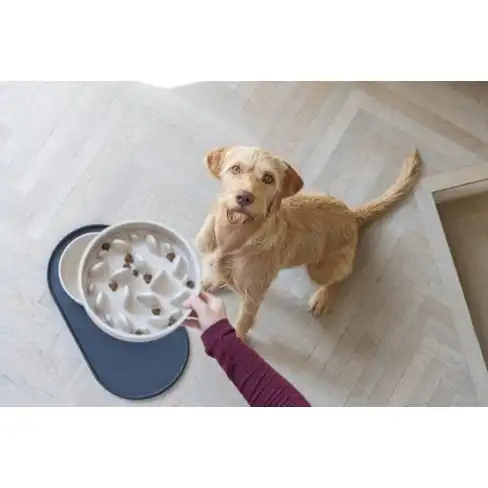 BZ миска пластиковая Slow Feeder Dog pom