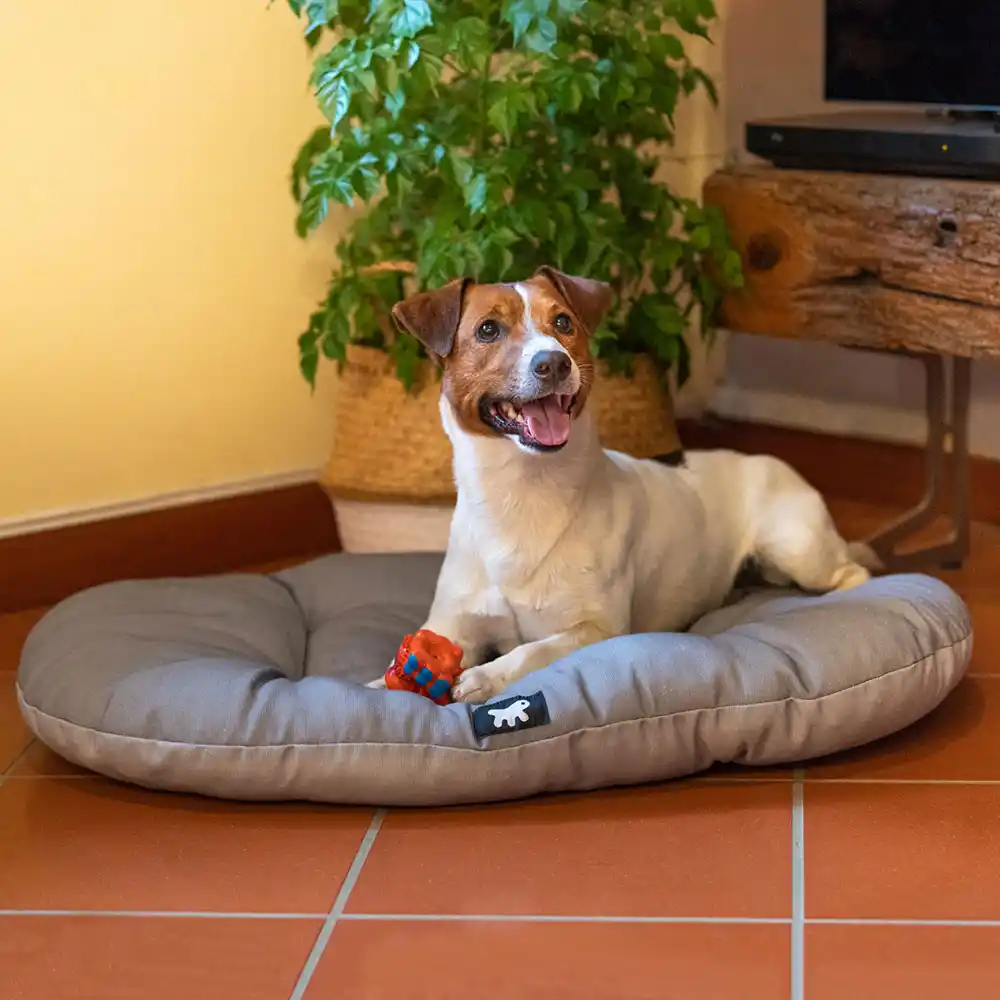 Pernă de bumbac FERPLAST RELAX 100/12 SANITIZED gri