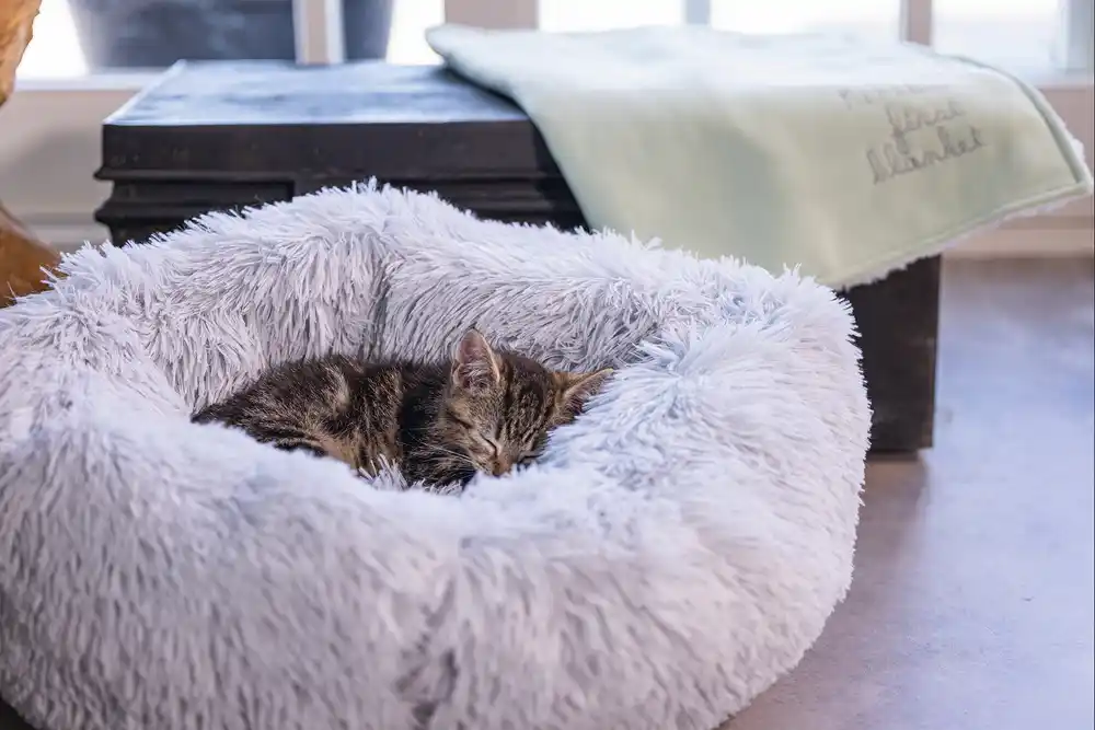 Beeztees лежак плюшевый CAT BED VAKO Grey 50cm