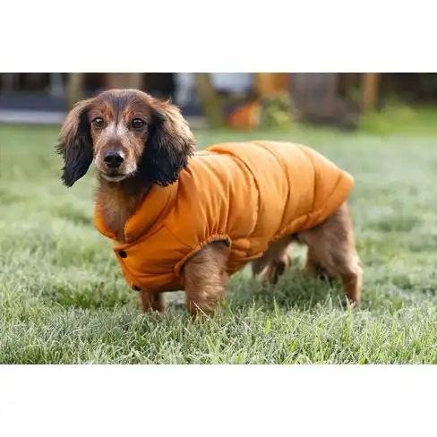 Куртка WISTI Orange