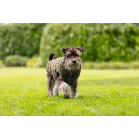 Жилет VICTORIA Green