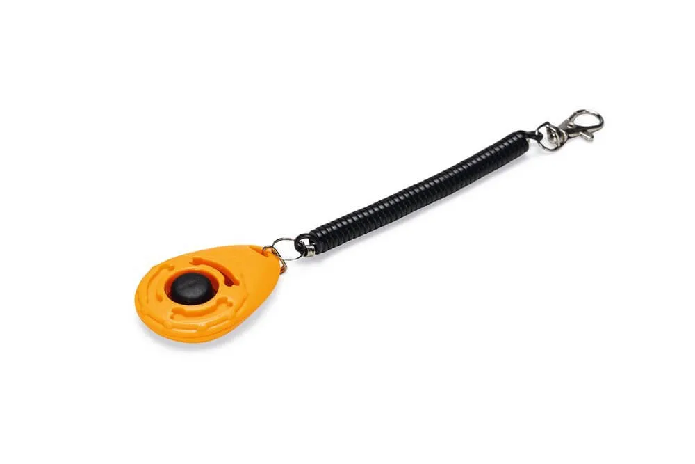 Cumpara  Coliere de dresaj și de dezvoltare - BEEZTEES Кликер для дрессировки JUR Orange..