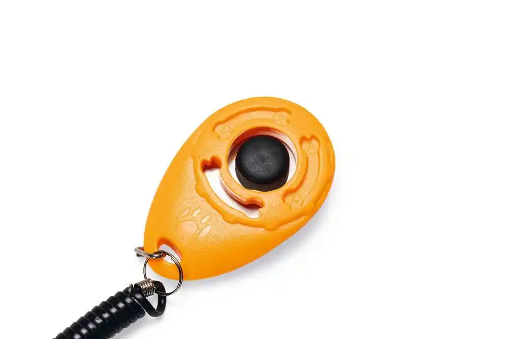 Beeztees clicker pentru dresaj JUR Orange