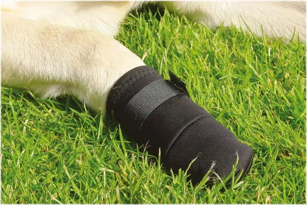 BEEZTEES Защитная обувь PROTECTIVE SHOE L Black 2x