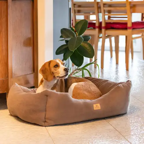 FERPLAST Подушка хлопок COCCOLO MICROFLEECE 80