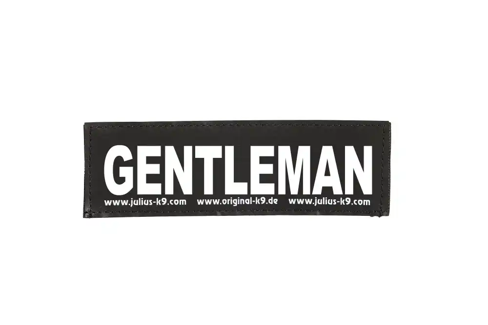 Купить  Нашивки на шлейки - BEEZTEES Нашивка на шлейку K9 GENTLEMAN Size ..