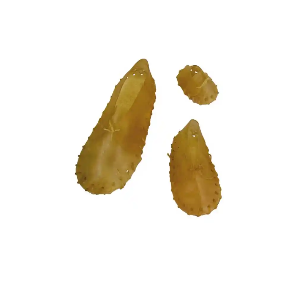 Купить  Кости, кожа, жилы - BEEZTEES  жевательный ботинок DELI 12,5cm 2 p..