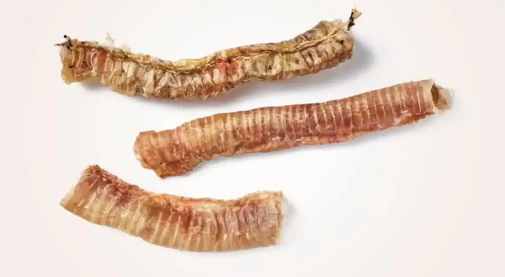 Купить  Кости, кожа, жилы - Antos Beef Trachea Pre-Packed 160gr..