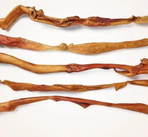 Antos Beef Hide Long Pre-Packed 70cm
