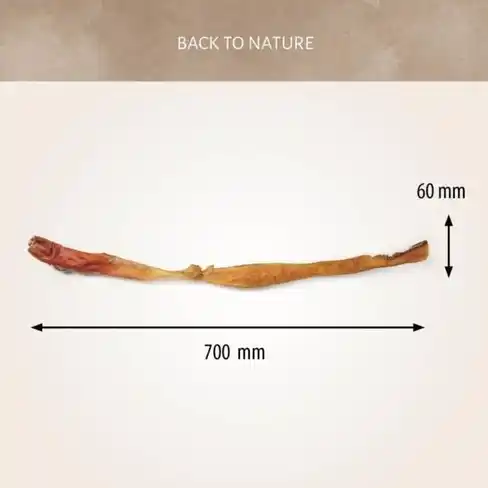 Antos Beef Hide Long Pre-Packed 70cm