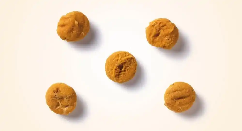 Купить  Печенье и бисквиты - Antos Insecta Nibbles Mealworm & Pumpkin 100 ..