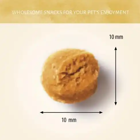 Antos Insecta Nibbles Soldier Fly & Apple