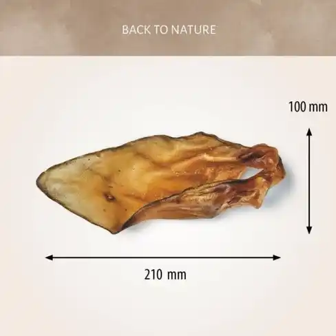 Antos Beef Ears with conch 10 pcs