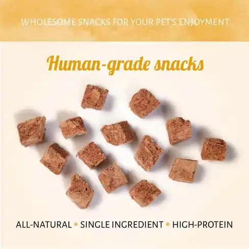 Antos WILD Freeze-Dried Horse