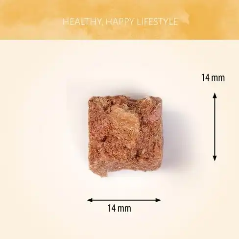 Antos WILD Freeze-Dried Horse