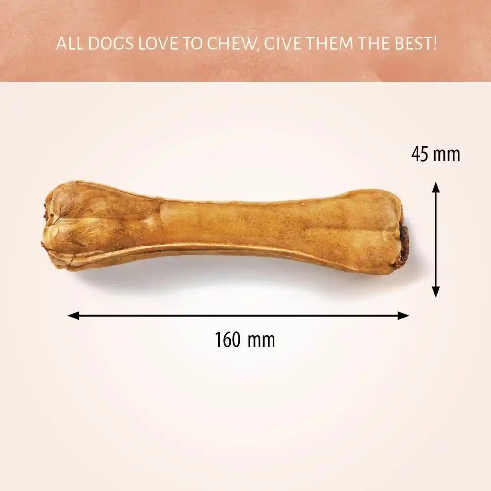 Antos Pressed Bone Tripe 16cm 1pc