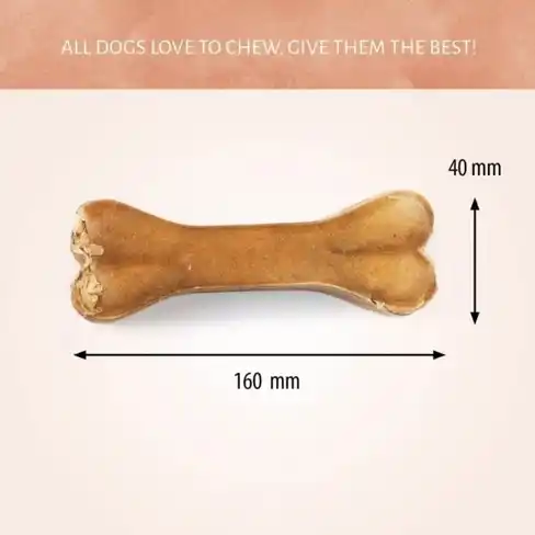 Antos Pressed Bone Pizzle 1pc