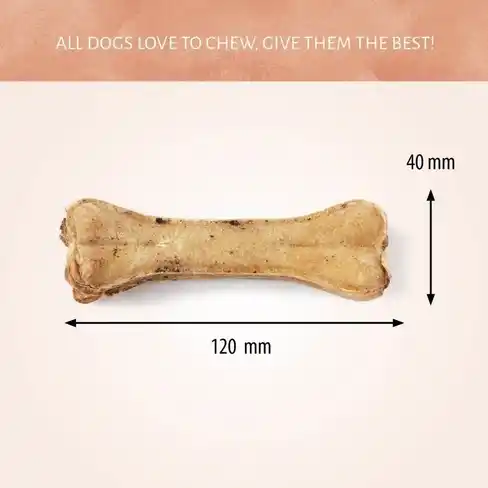 Antos Pressed Bone Pizzle 1pc