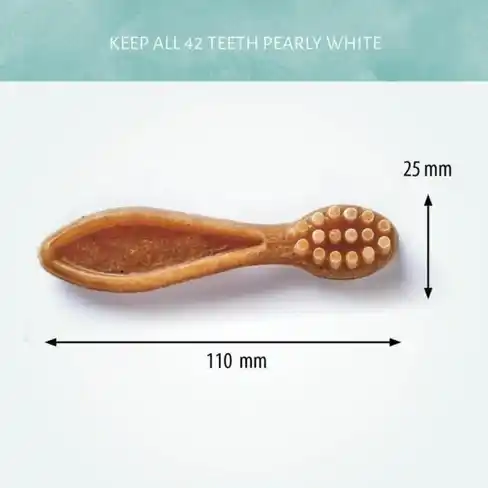 Antos Cerea Brush Small Label