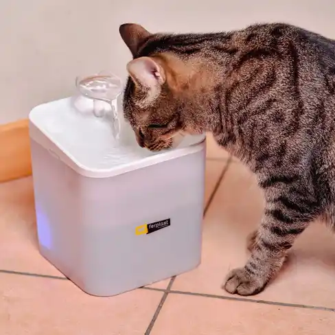 Fântâna de apă ARES 2,2 L