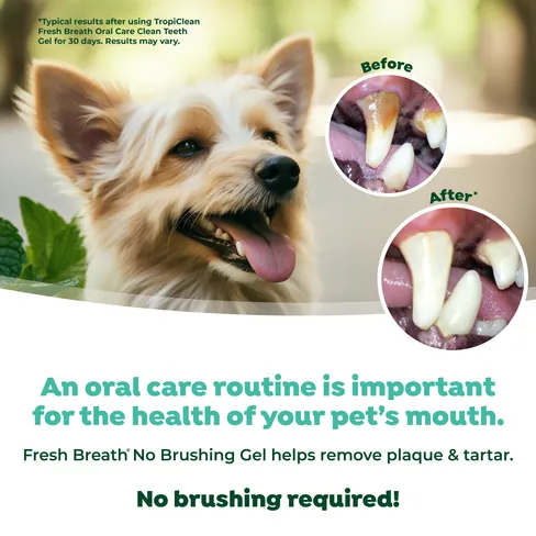 Fresh Breath Clean Teeth Oral Care Gel