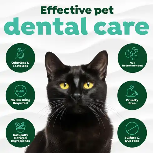 Fresh Breath Dental Health Solution Cat