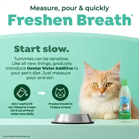 Fresh Breath Dental Health Solution Cat