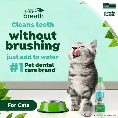Fresh Breath Dental Health Solution Cat