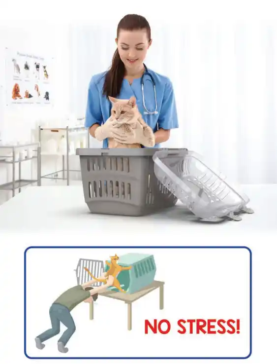 GEORPLAST Suport de plastic Rocket Transp. Sus deschis 49x33x33h cm