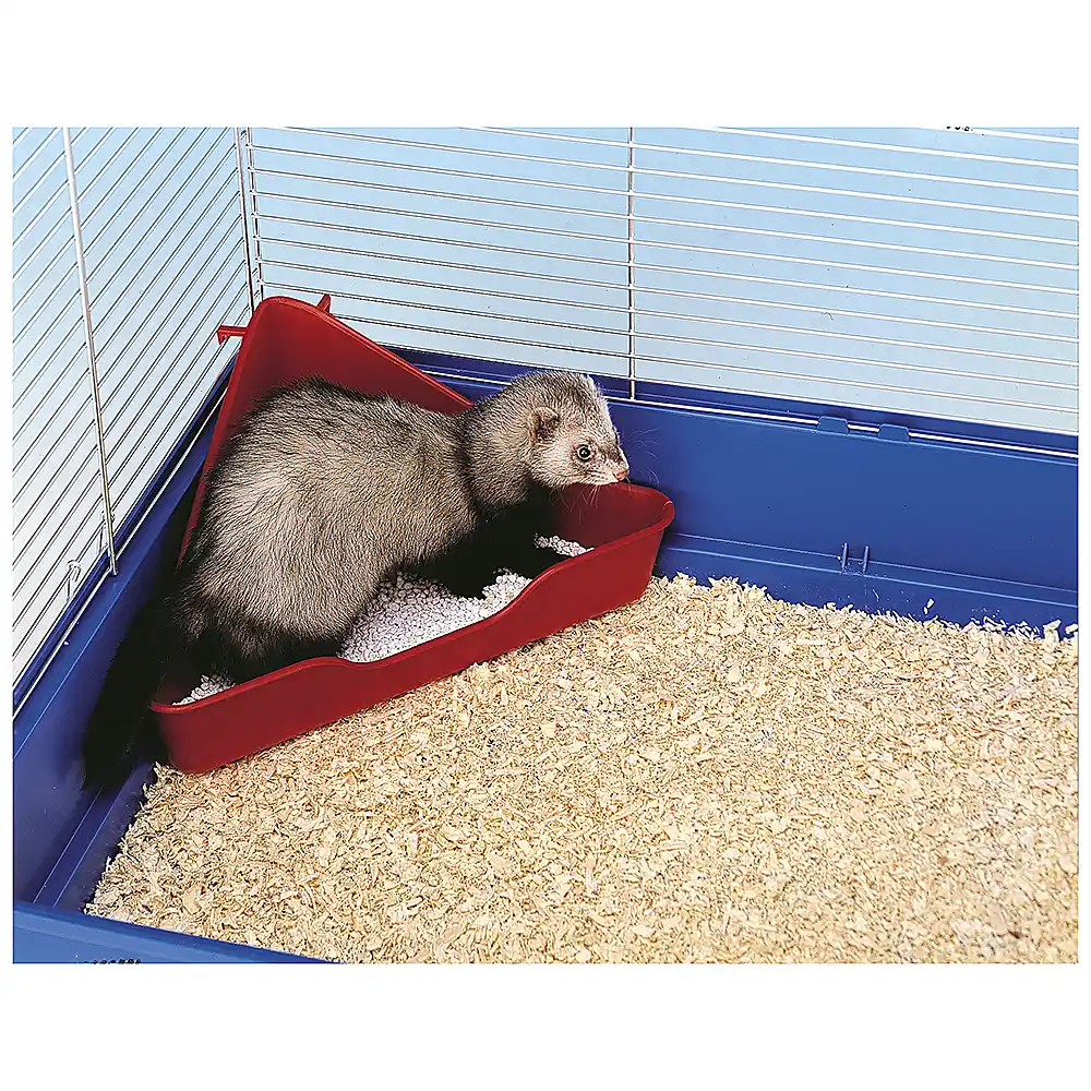 Litieră tip colț pentru dihori