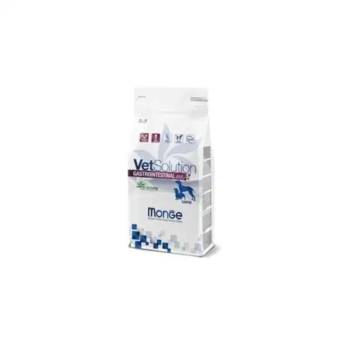 MONGE DRY VETSOLUTION DOG INTESTINAL